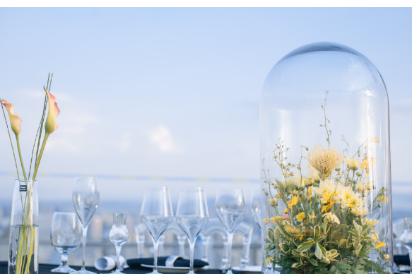 快！去小程序0元抽盲盒！限时1个月！