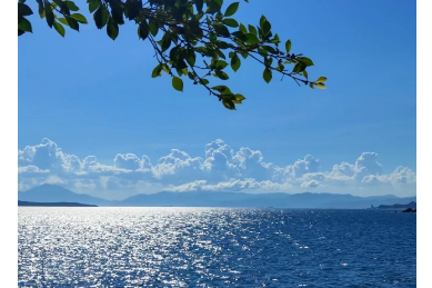 深圳恢复！这座城市一定有你太多不知道的地方~